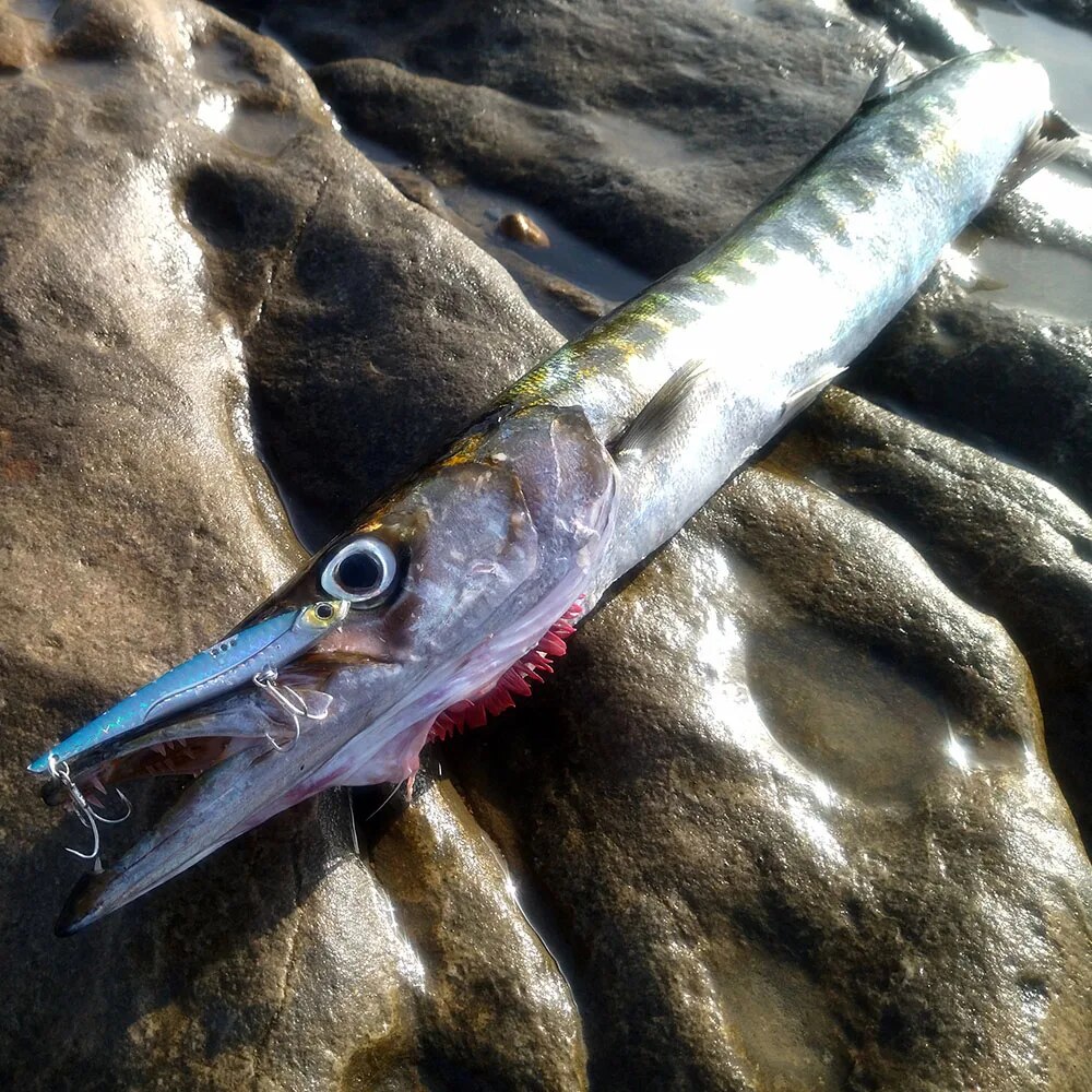 GOBAIT VIB Fishing Lure 20g 25 - đánh giá và giá Fishing Hook Treble