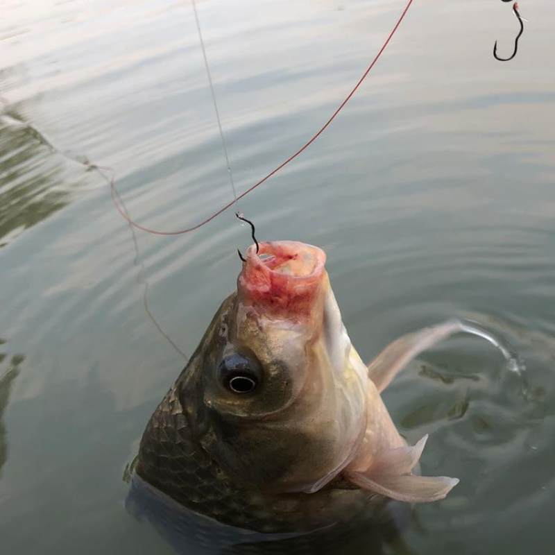 FTK Automatic Flip High Carbon - đánh giá và giá Fishing Hook Assortment